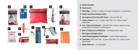 Mini Emergency Kit