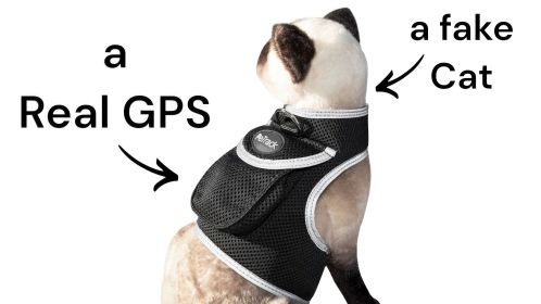 Realtime Collar Mount GPS Pet Waterproof Rechargeable Tracking Device Size: M.
