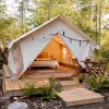Alpha Wall Tent,12' x 14' (Water Repellent). Heavy Canvas, White Duck.  Durable 3-4 Season Camping, Stove Jack.